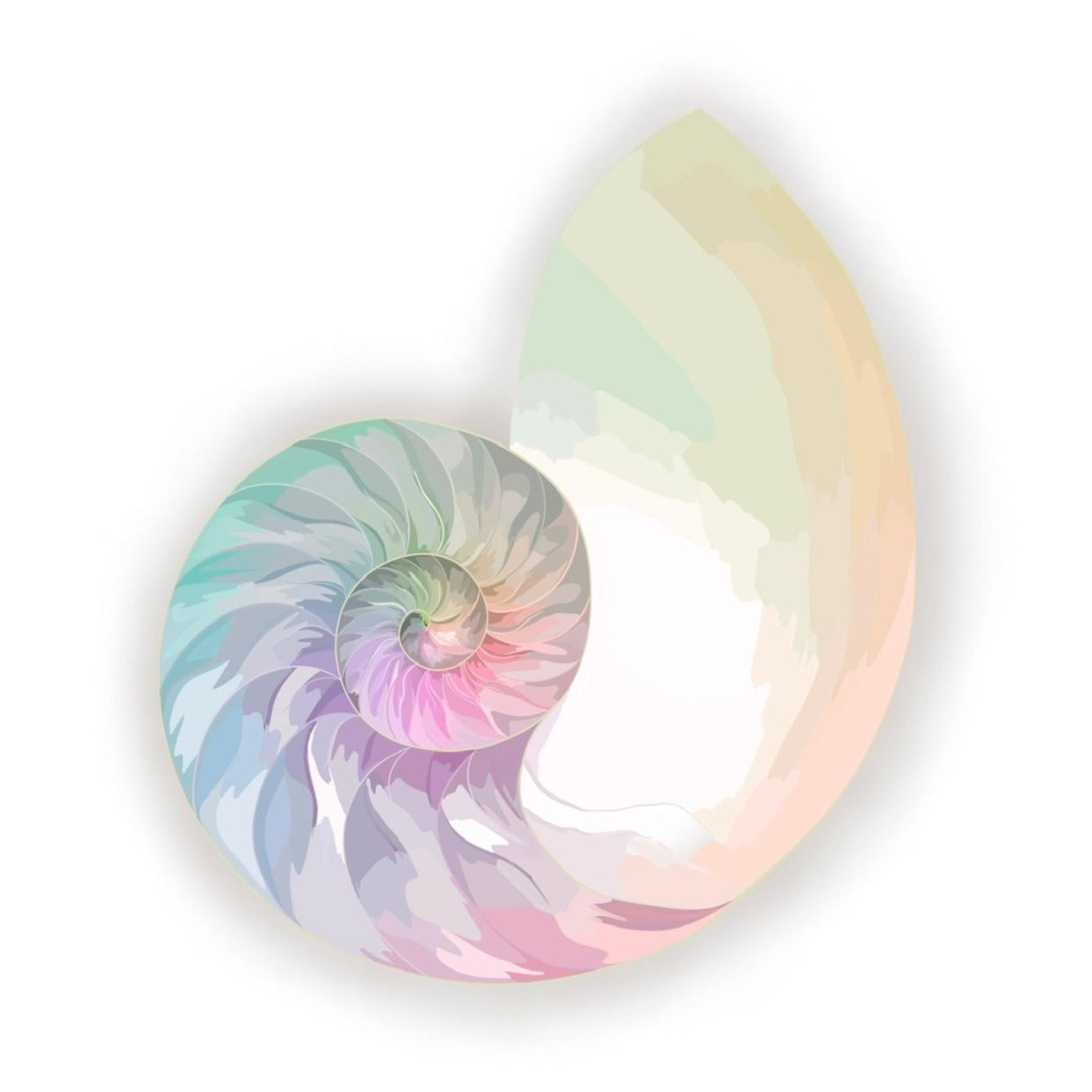 Nautilus