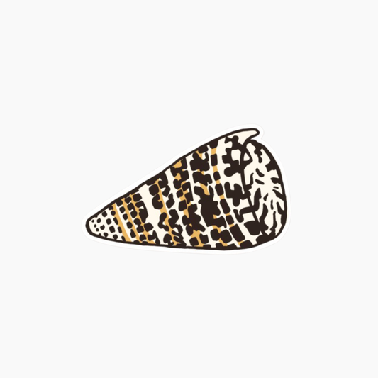Leopard Cone Shell Sticker