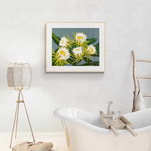 Night Blooming Cereus