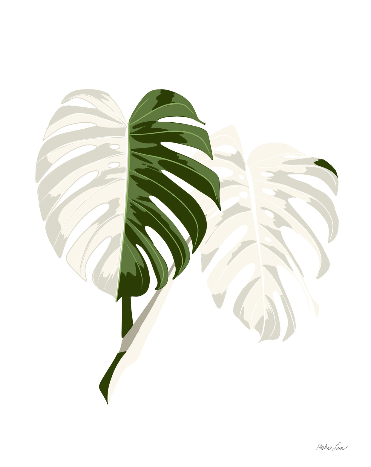 Variegated Monstera Canvas