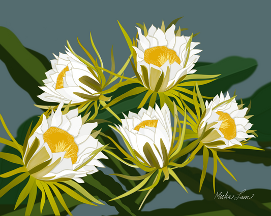 Night Blooming Cereus