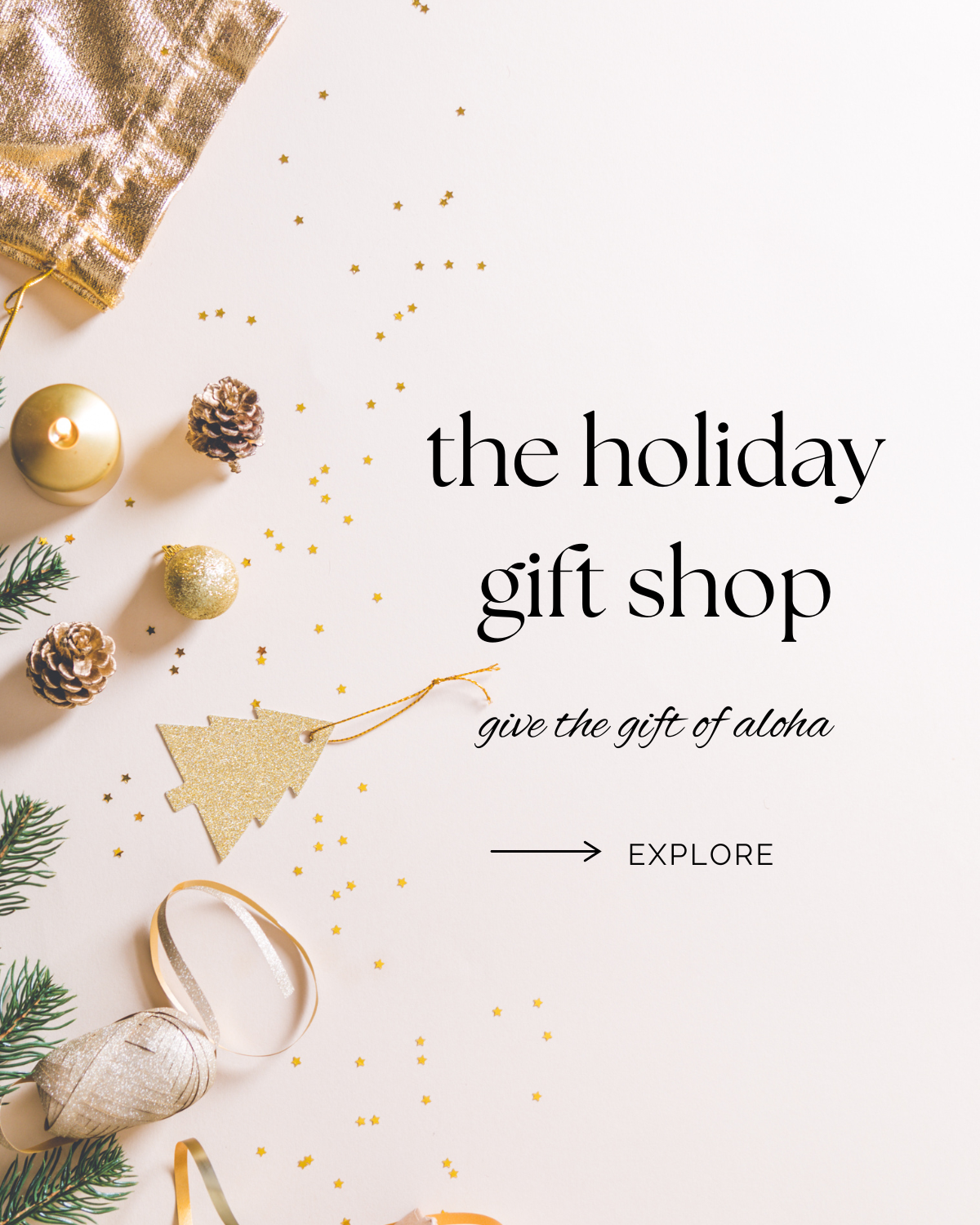 Holiday Gift Shop