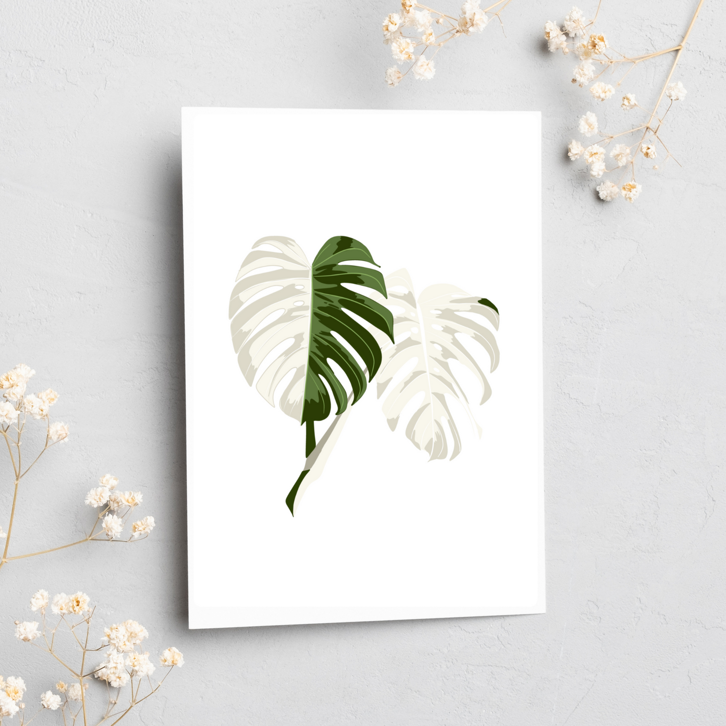 Greeting Card - Variegated Monstera