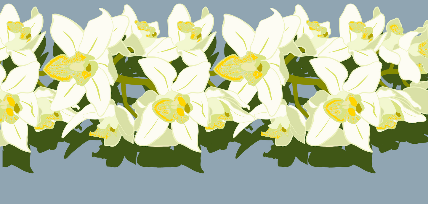 Orchid Pareo